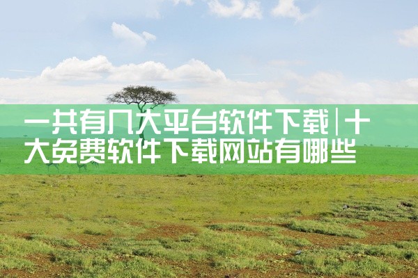 一共有几大平台软件下载