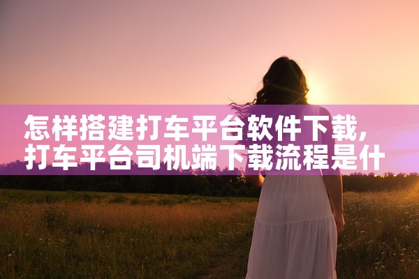 怎样搭建打车平台软件下载