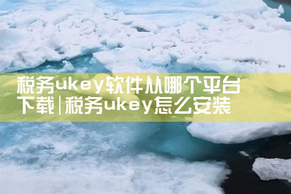 税务ukey软件从哪个平台下载