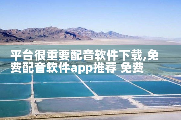平台很重要配音软件下载