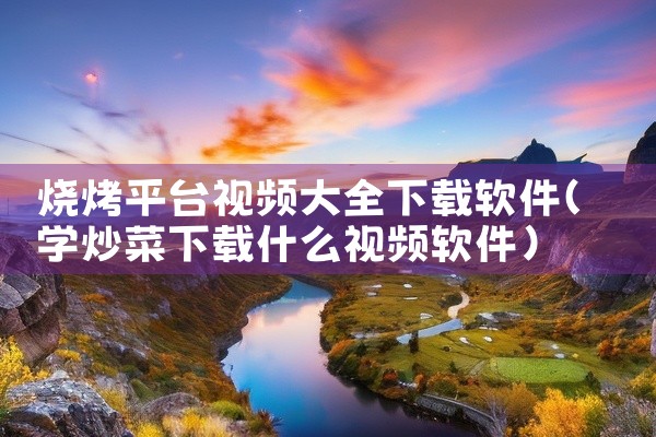 烧烤平台视频大全下载软件