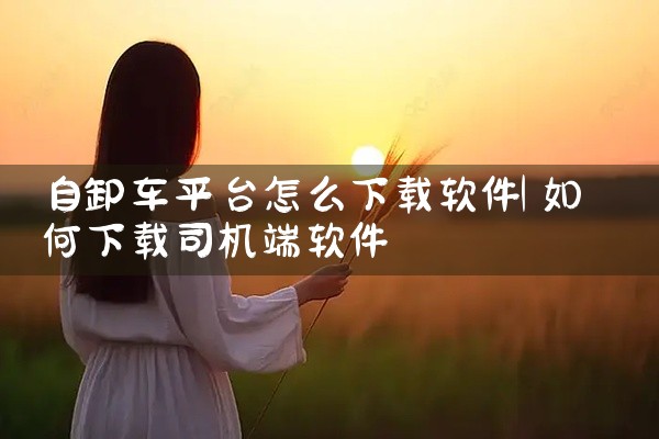 自卸车平台怎么下载软件